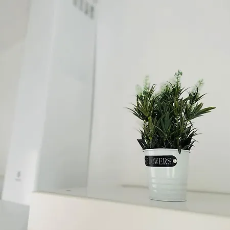 Arlette A 600m De La